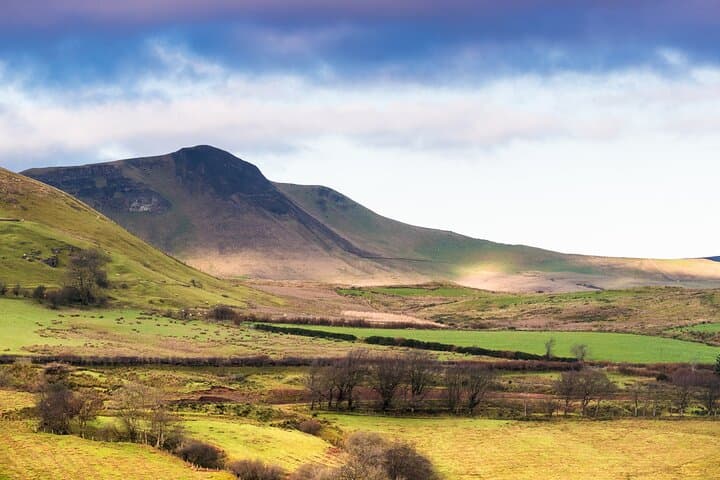 From Belfast Murals to Giant's Causeway: Full-Day Private Coastal Tour photo 6