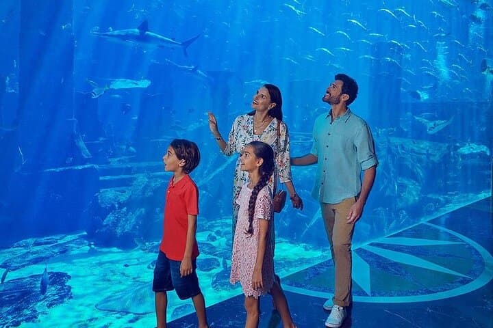 Palm Jumeirah Tour: Dubai Balloon, The View, Lost Chambers & Monorail Experience photo 4