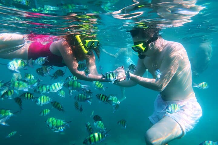 Phuket 3 Khai Islands Speedboat Snorkeling: Half- or Full-Day Trip from Phuket photo 3