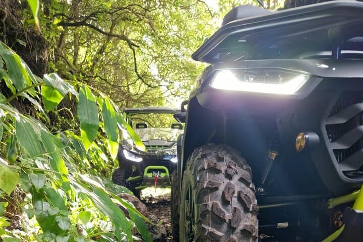 Buggy Adventure on Mount Pico: Off-Road Rides & Volcanic Views photo 5