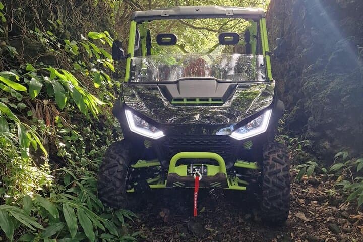 Buggy Adventure on Mount Pico: Off-Road Rides & Volcanic Views photo 3