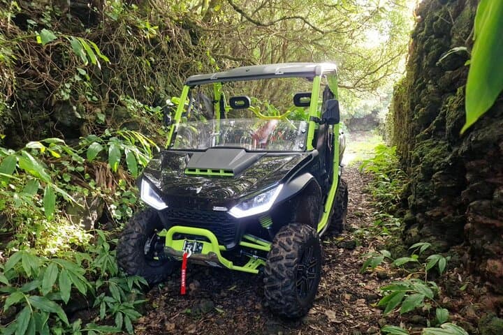 Buggy Adventure on Mount Pico: Off-Road Rides & Volcanic Views photo 4