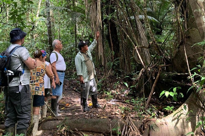 4-Day Amazon Jungle Camping from Iquitos — Mirador Palo Alto & River Wildlife photo 6