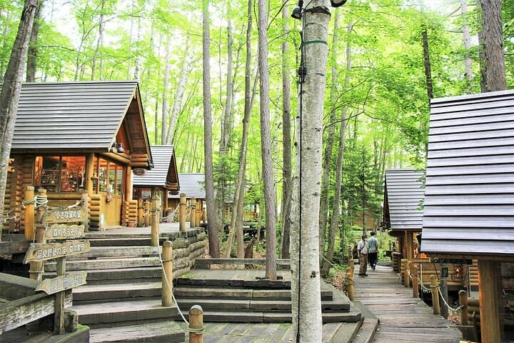 One-Day Hokkaido Highlights: Asahiyama Zoo, Biei Flower Fields & Ningle Terrace photo 4
