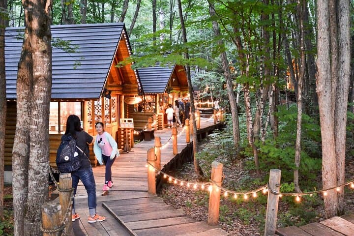 One-Day Hokkaido Highlights: Asahiyama Zoo, Biei Flower Fields & Ningle Terrace photo 1