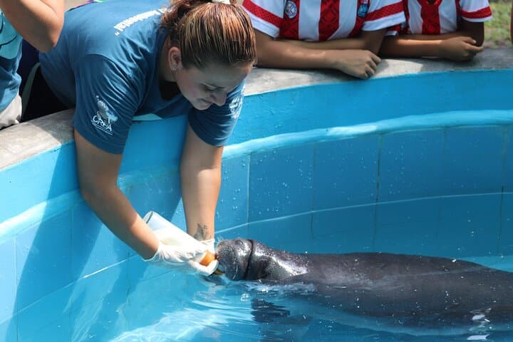 Amazon Rescue Center (Iquitos): Manatee Conservation Visit and Rehabilitation Tour photo 3