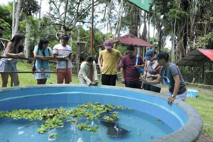 Amazon Rescue Center (Iquitos): Manatee Conservation Visit and Rehabilitation Tour photo 4