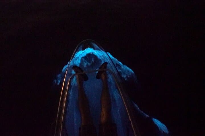 Night Paddle Through Mosquito Bay: Clear Kayak Bioluminescent Tours in Vieques photo 5