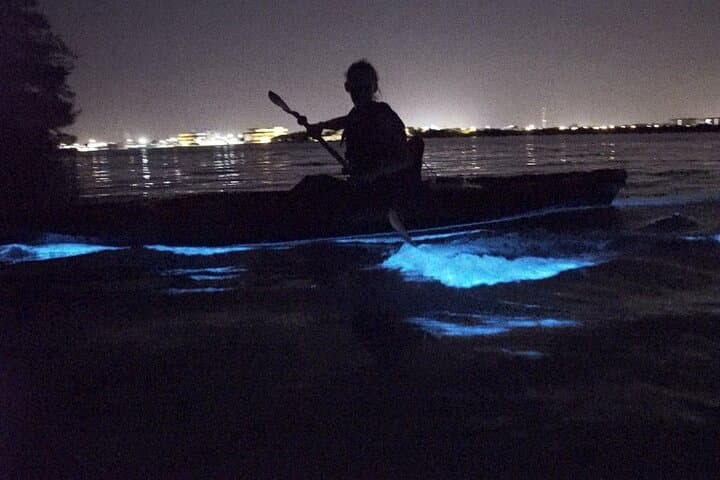 Night Paddle Through Mosquito Bay: Clear Kayak Bioluminescent Tours in Vieques