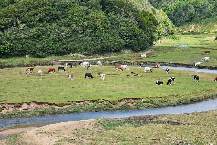 Three Cliffs Bay Circular Walk — Gower Peninsula Coastal Hiking Guide photo 5