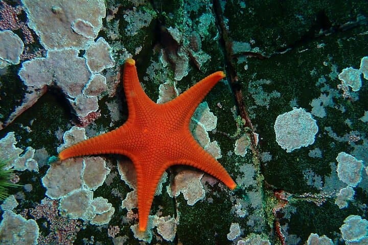 Behind-the-Scenes Aquarium Experience at Sitka Sound Science Center photo 5