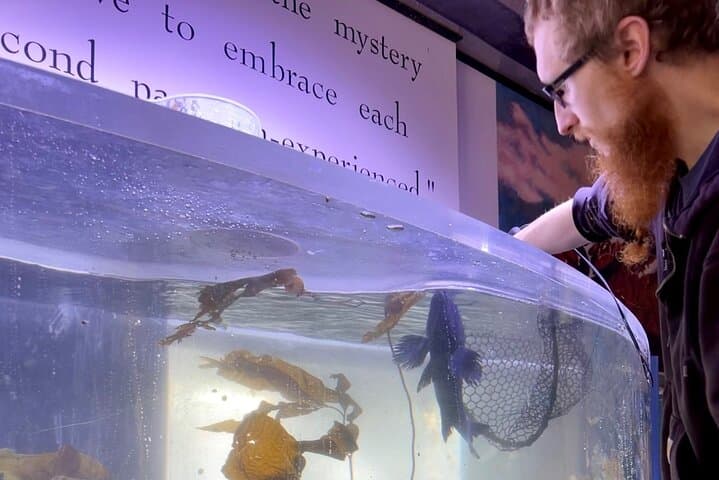 Behind-the-Scenes Aquarium Experience at Sitka Sound Science Center photo 2