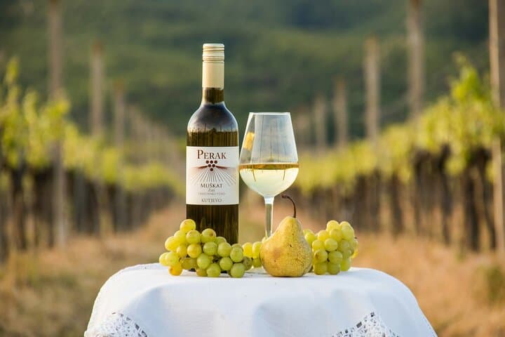 Prague Private Wine Tour: Scenic Vineyards & Expert Tastings photo 3