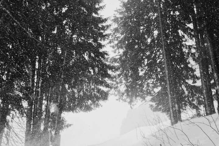 3 km Sledge Run in Špindlerův Mlýn — A Winter Day on Snowy Slopes photo 2