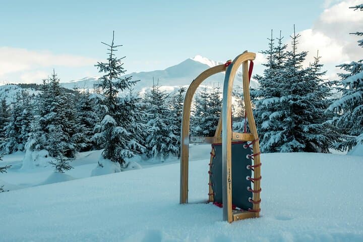 3 km Sledge Run in Špindlerův Mlýn — A Winter Day on Snowy Slopes