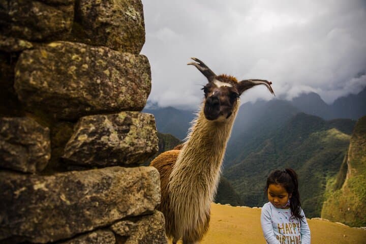 Private 2-Day Sacred Valley & Machu Picchu Journey from Cusco