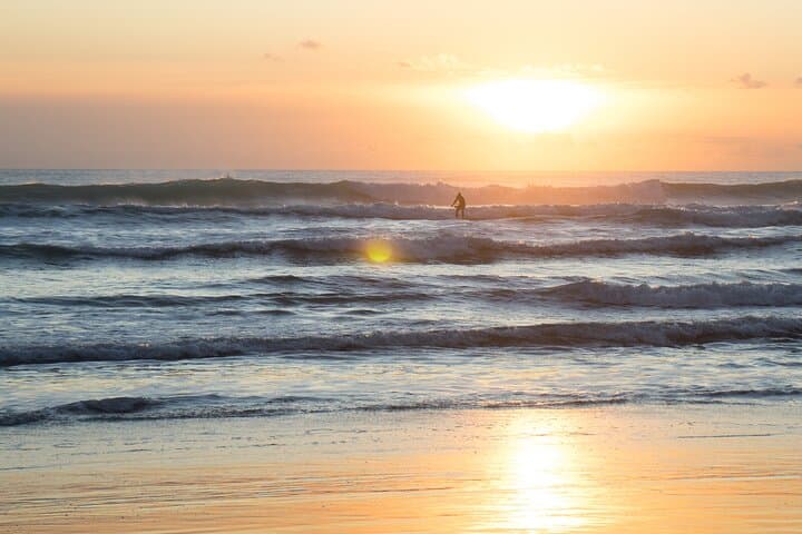 Piha Black-Sand & Mount Eden Private Tour from Auckland — Coastal Wilderness in a Day photo 5