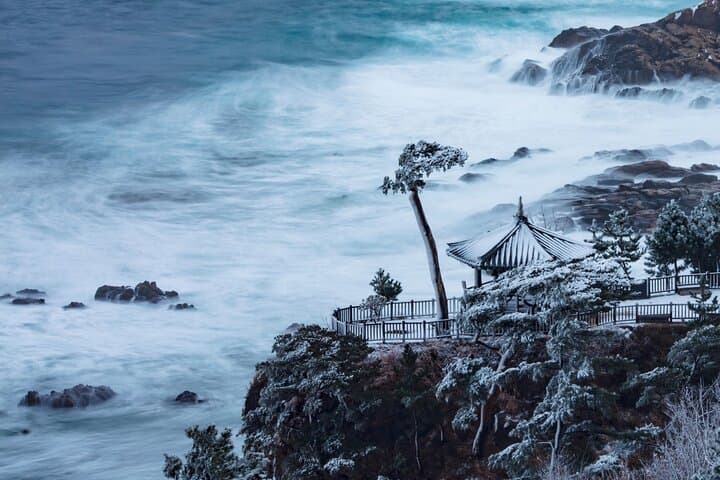 Seorak Mountain & Naksansa Temple: One-Day Hike and Coastal Temple Tour from Seoul photo 5