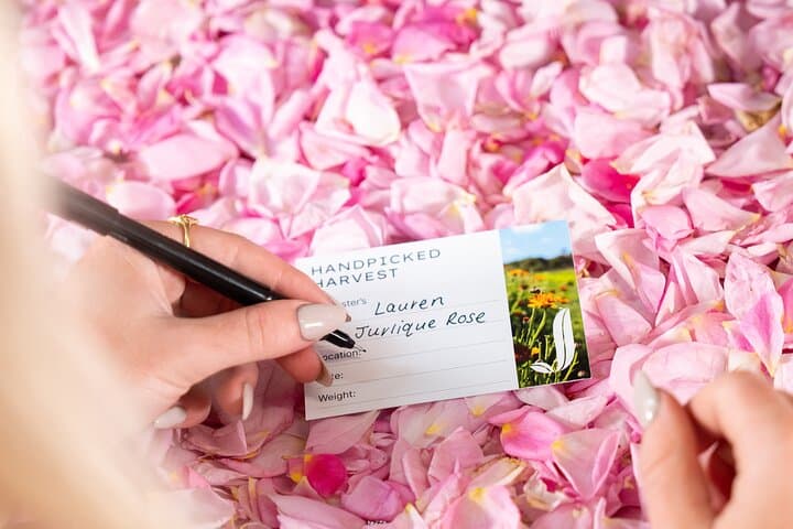 Jurlique Handpicked Masterclass: Adelaide Hills Herb Farm Tour & Aromatherapy Workshop photo 4