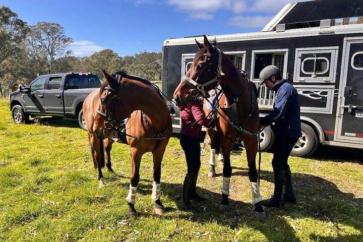 Horseback Wine Tasting in Adelaide Hills: Woodside Trail Ride & Cellar Door photo 6