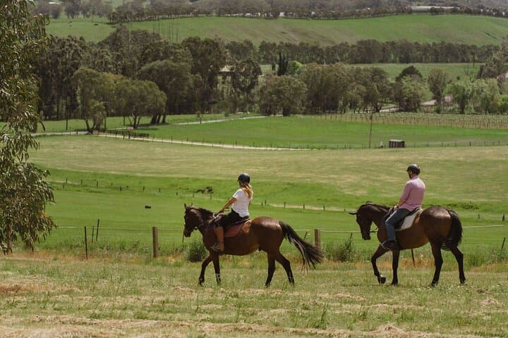 Adelaide Hills Romantic Horse Trail Ride with Wine, Food & Private Tasting photo 3
