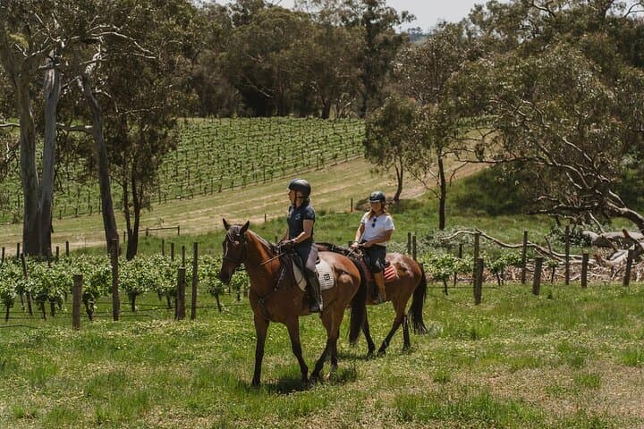 Adelaide Hills Romantic Horse Trail Ride with Wine, Food & Private Tasting photo 4