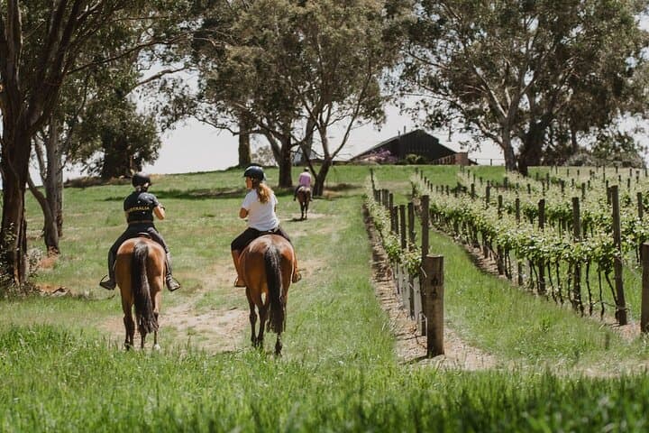 Adelaide Hills Romantic Horse Trail Ride with Wine, Food & Private Tasting