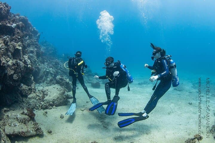 Scuba with Sea Turtles on Kauai — Beginner Shore Dive Experience