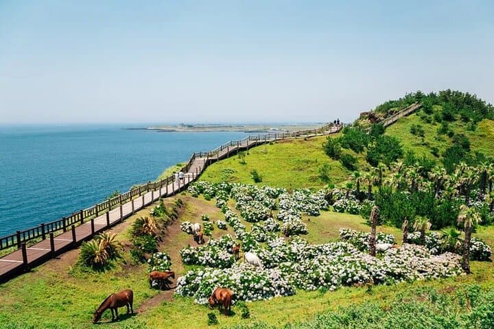 Scenic Jeju: Private Full-Day Island Tour with Driver photo 4