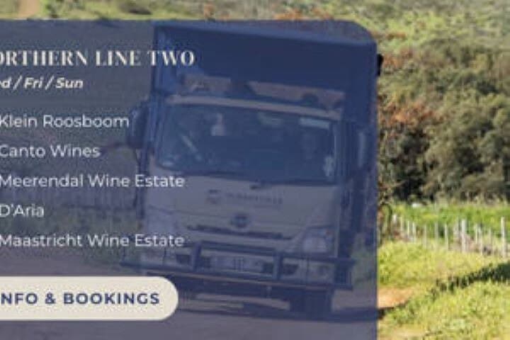 Durbanville Wine Valley Group Tour — Cape Town Vineyard Tasting with Transfer photo 6