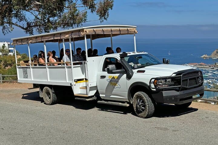 Catalina Island Summit Sunset Tram Tour from Avalon photo 3