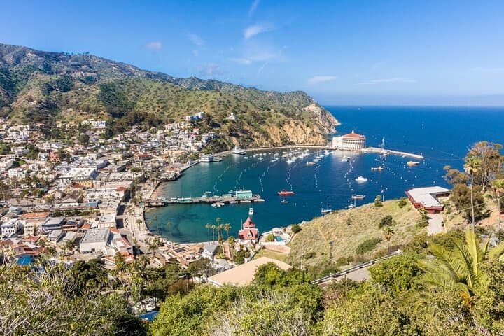 Avalon Highlights and Scenic Mt Ada Tram Tour — Catalina Island Sightseeing photo 4