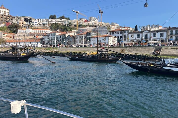 Private Douro River Cruise with Port Wine Tasting from Marina do Freixo photo 5