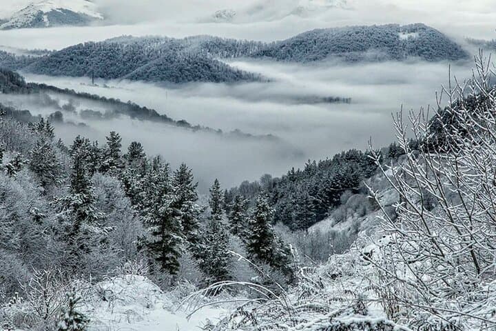 Winter Hikes & Heritage: Lake Sevan to Dilijan 2-Day Tour