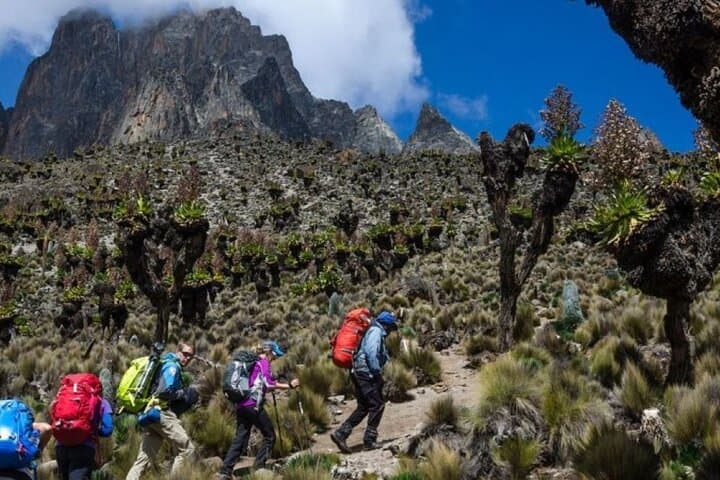 4-Day Sirimon Route Trek to Point Lenana on Mount Kenya photo 3