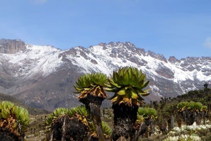 4-Day Sirimon Route Trek to Point Lenana on Mount Kenya photo 5