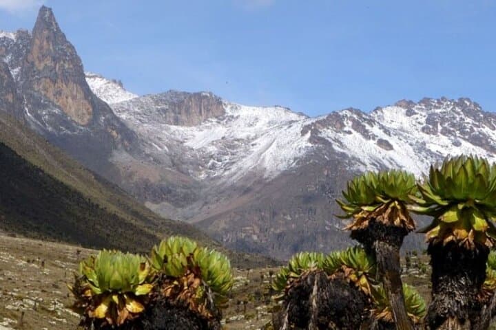4-Day Sirimon Route Trek to Point Lenana on Mount Kenya photo 6