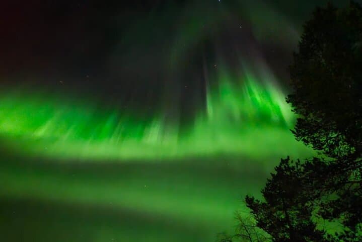 Arctic Lights: Northern Lights Chase from Rovaniemi — Lakeside Campfire Experience