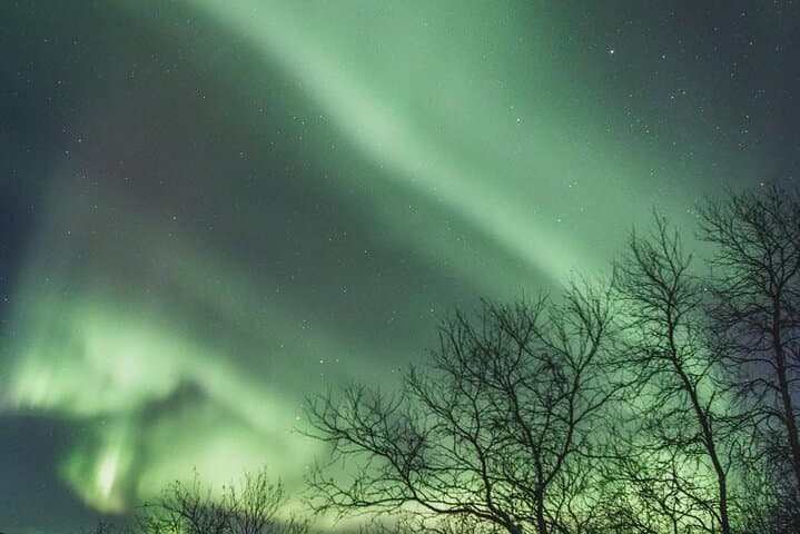 Arctic Lights: Northern Lights Chase from Rovaniemi — Lakeside Campfire Experience photo 3