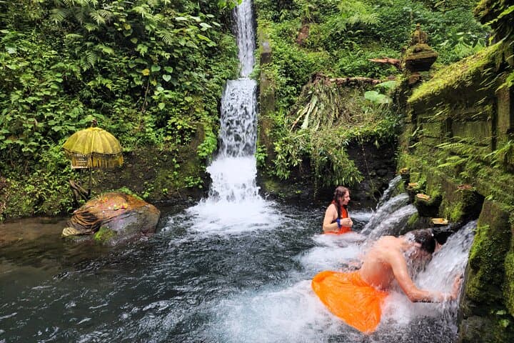 Ubud Healing and Giant Swing Day: Purification Rituals and Rice-Terrace Views photo 3