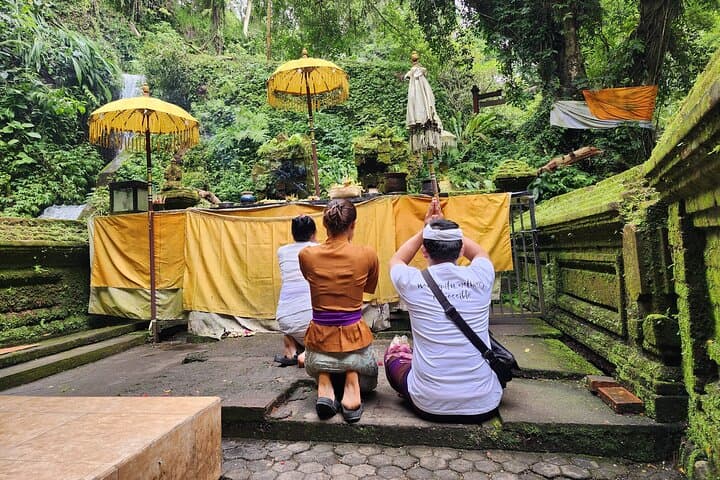 Ubud Mengening Temple and Ulu Petanu Waterfall Private Tour with Coffee Plantation Visit photo 3
