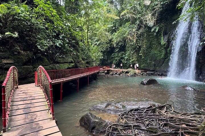 Ubud Scooter Tour: Scenic Rice Terraces, Waterfalls & Monkey Forest photo 6