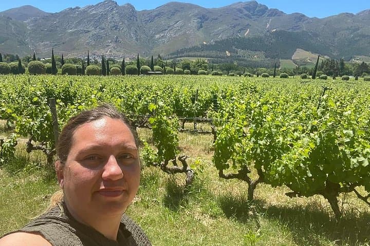 Private Stellenbosch and Franschhoek Wine Tour — Full-Day Paarl to Lanzerac Tasting photo 2