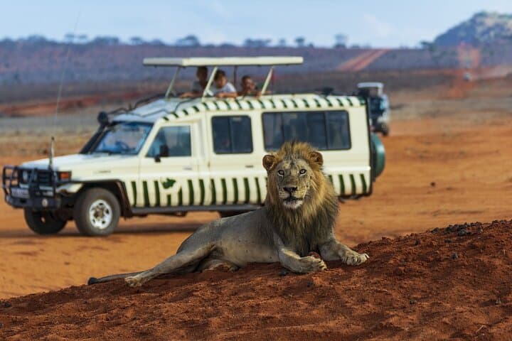 Aquila Game Reserve Big 5 Safari from Cape Town photo 6