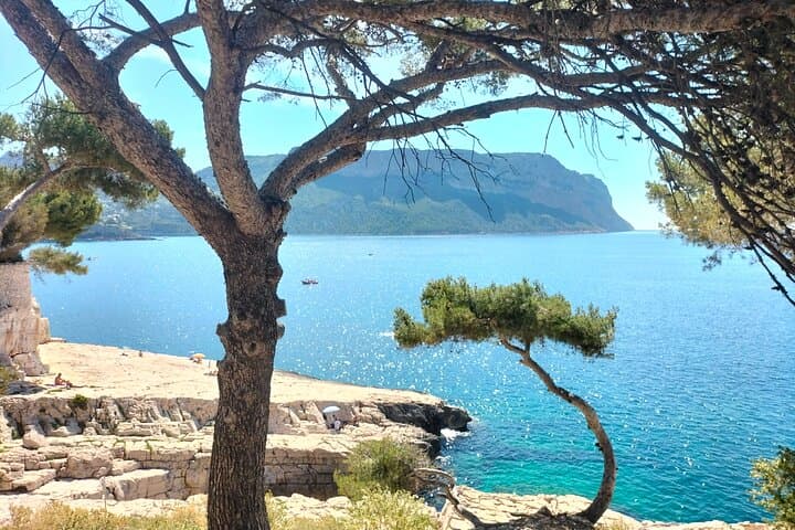 Half-Day Cassis Calanques Boat Ride with Wine & Appetizers
