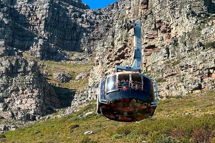Cape Town Full-Day: Table Mountain, Cape Point & Boulders Beach Penguin Encounter photo 6