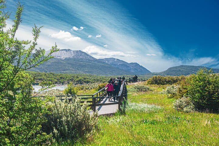 3-Day Ushuaia Tour: Tierra del Fuego & Beagle Channel Highlights photo 4