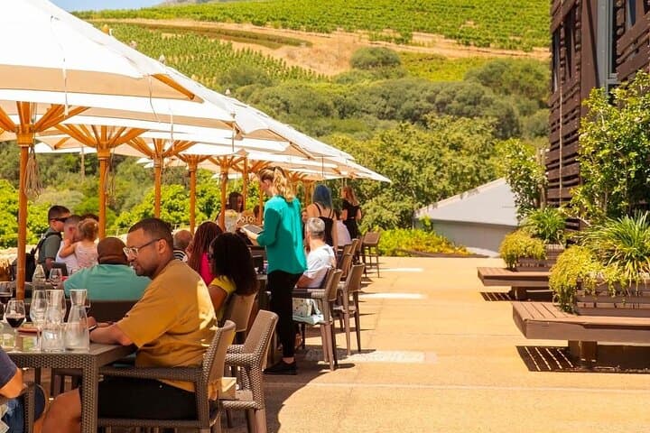 Guided Cape Winelands Wine Tasting Experience from Cape Town