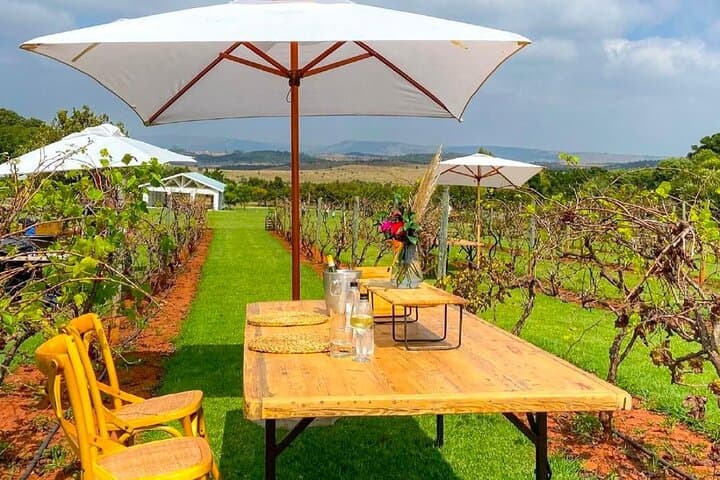 Guided Cape Winelands Wine Tasting Experience from Cape Town photo 3