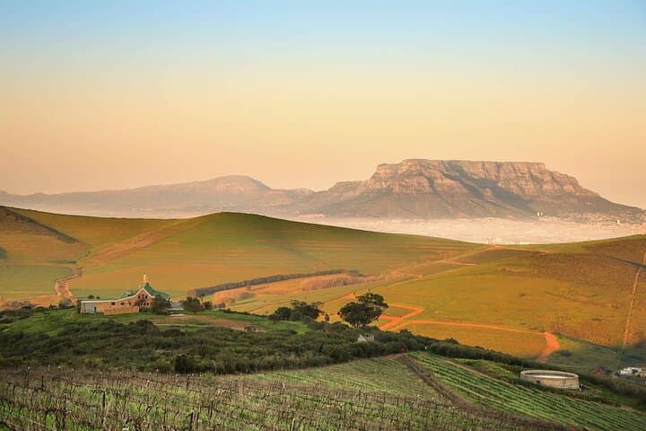 Guided Cape Winelands Wine Tasting Experience from Cape Town photo 5